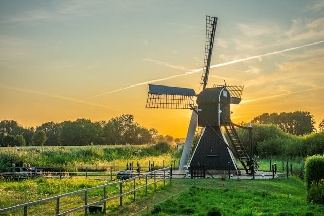 Ecotoxicologie et Toxicologie Environnementale
